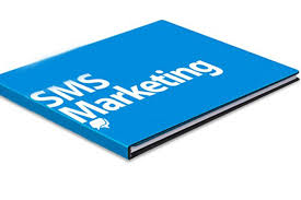 SMS Marketing:Extremely Affordable Way Of&nbsp;Marketing